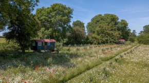 Stamford Cider Huts